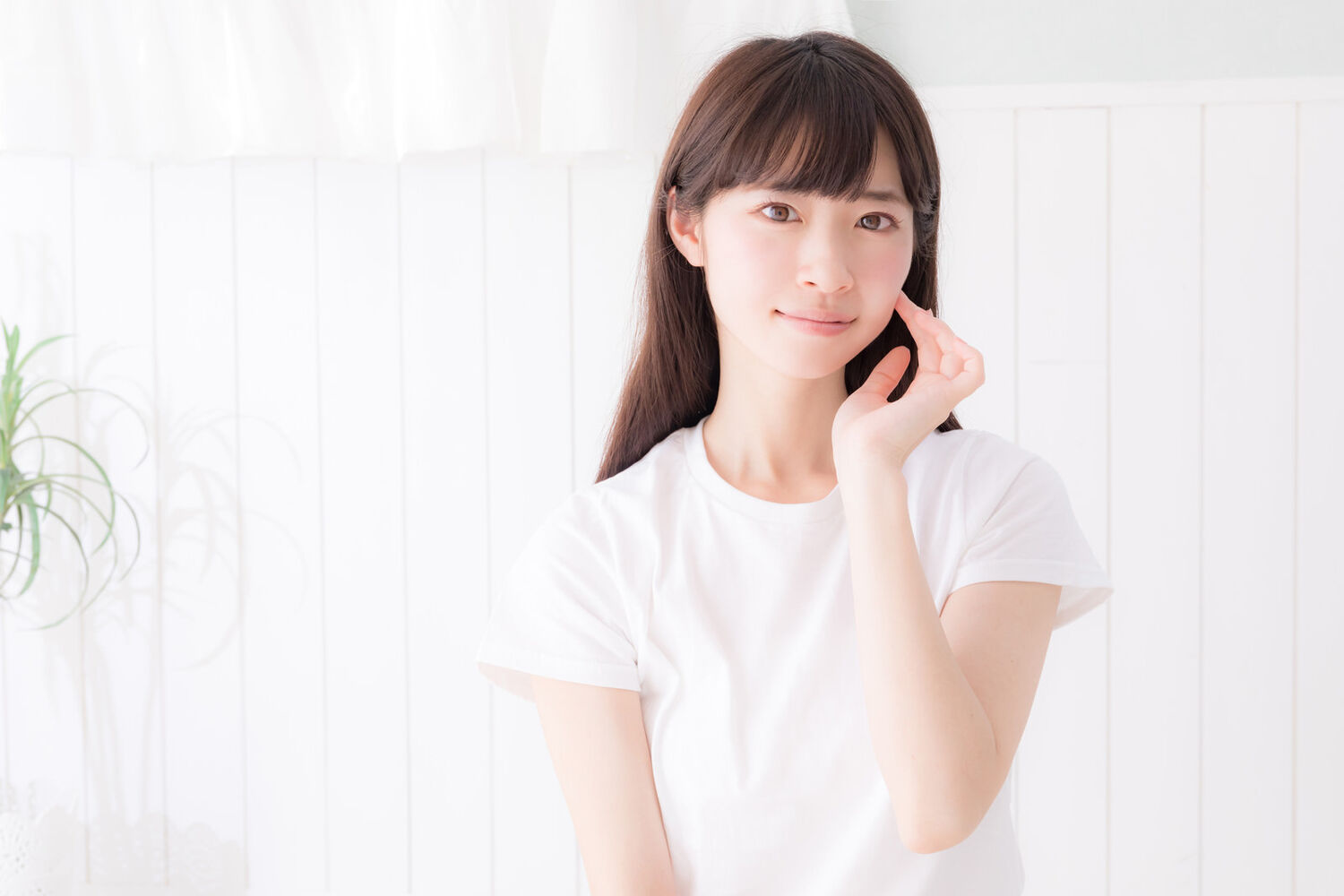 画像3287