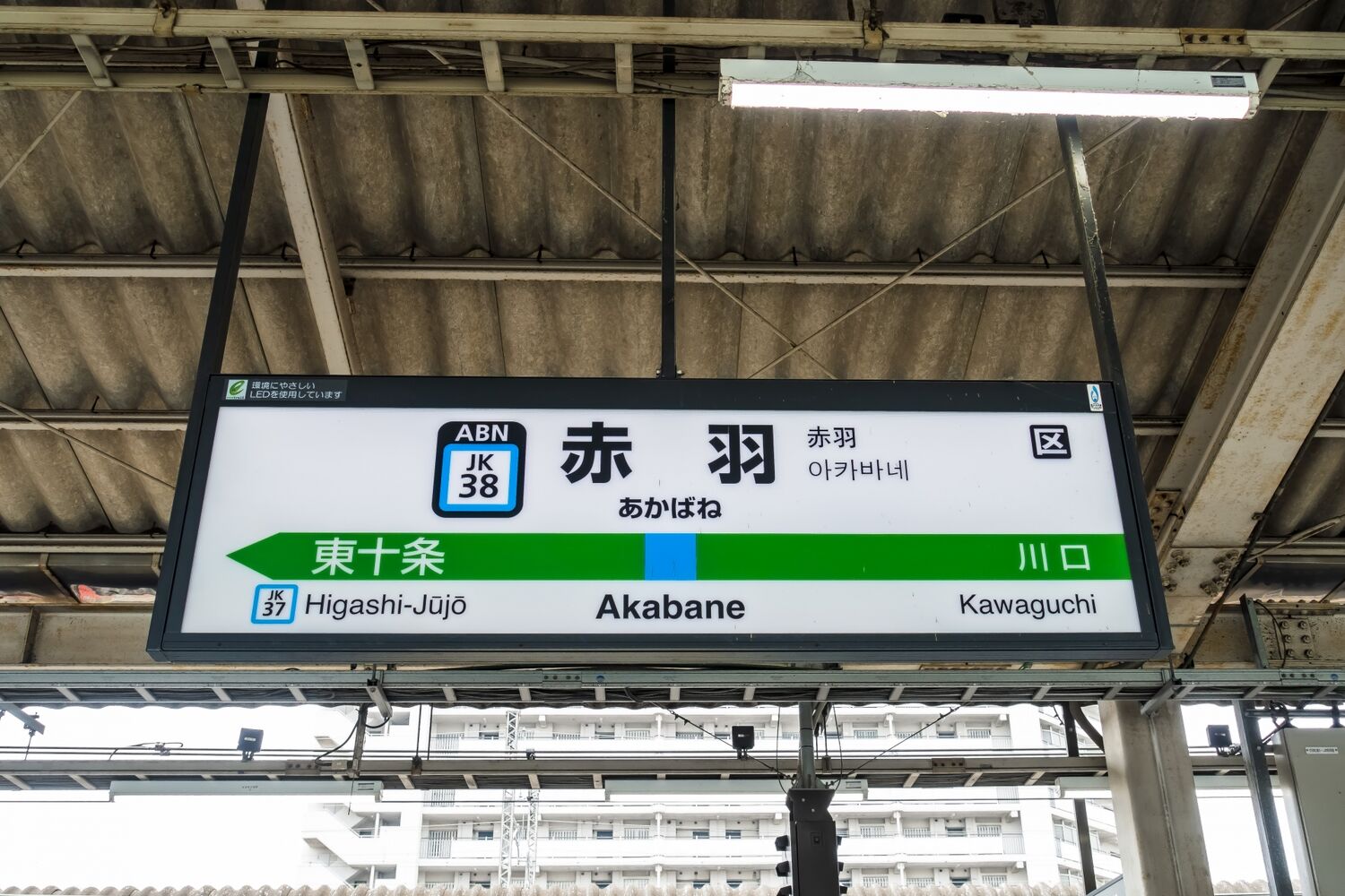 画像4651