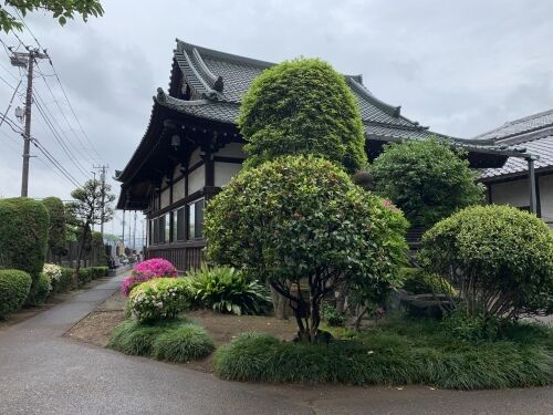 善徳寺